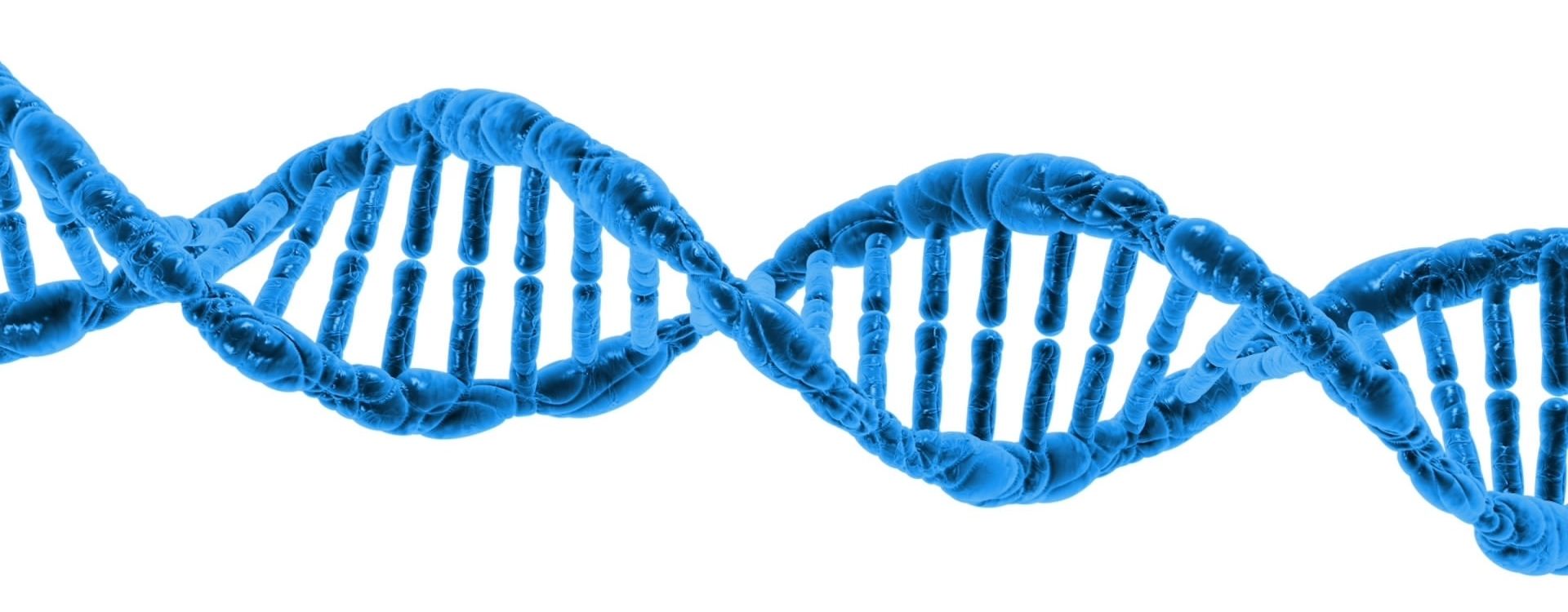 Human Longevity DNA Strand