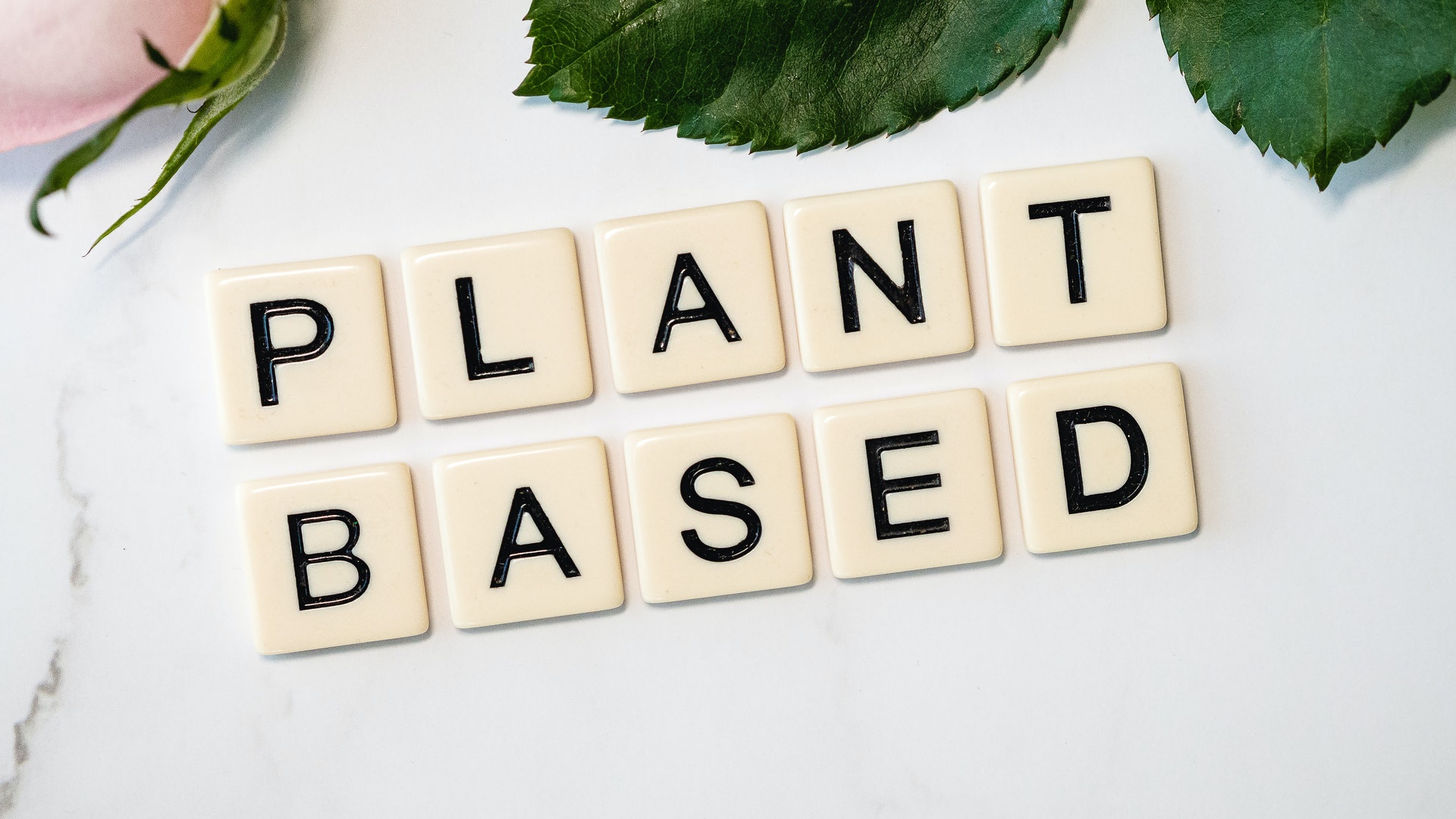 Plant based scrabble letters